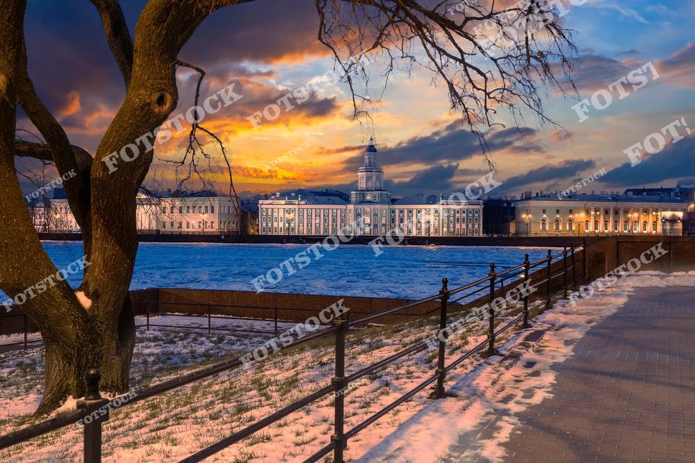 На фотографии запечатлена Кунсткамера — первое научное учреждение России, основанное Петром I. Здание находится на Университетской набережной Васильевского острова и выделяется высокой башней с куполом. На переднем плане — заснеженная набережная и ветви дерева, обрамляющие вид. Через реку Неву просматривается историческая архитектура Петербурга. Атмосферу усиливает яркий закат, создающий контраст между холодом зимы и тёплыми красками неба.